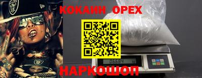 гашик Можга