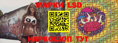 гашик Можга