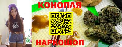гашик Можга