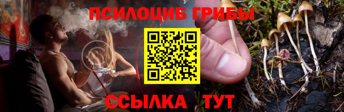 Галлюциногенные грибы Magic Shrooms  где найти   Узловая  Вход с VPN 